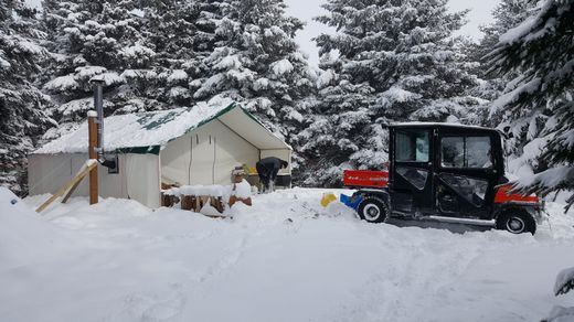 snowy-tent_tn